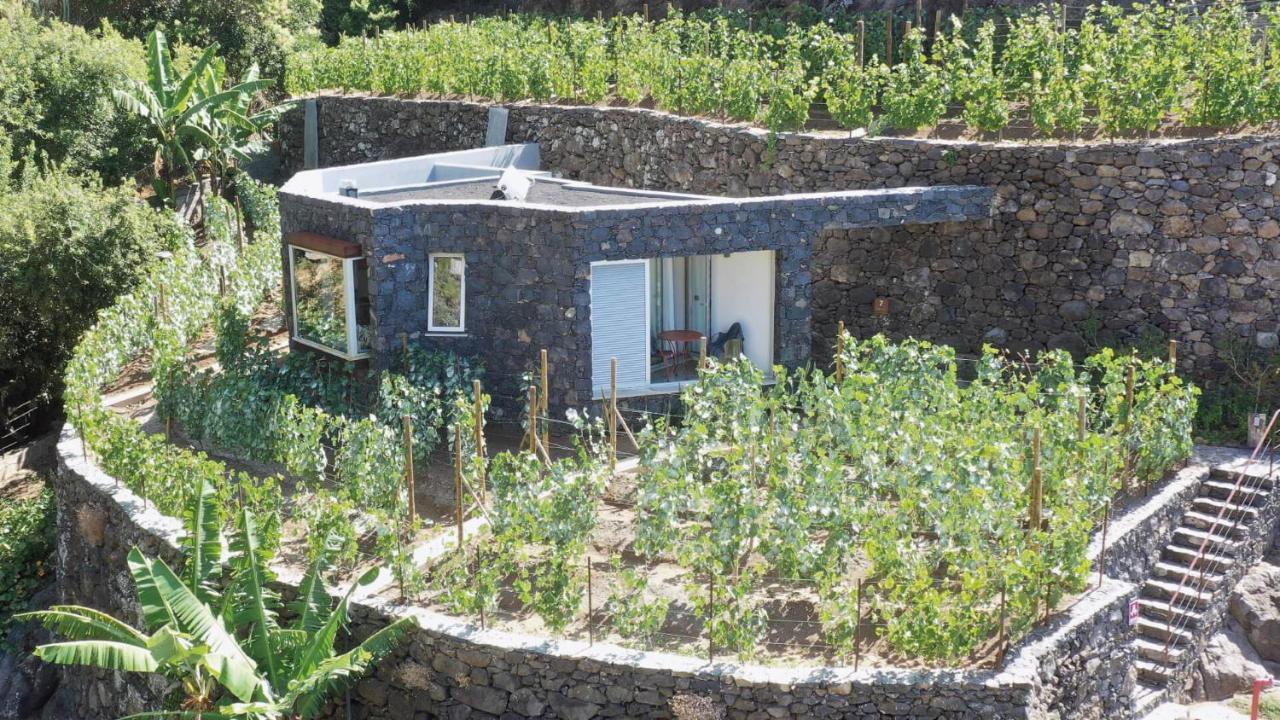 Socalco Nature Calheta Calheta  Extérieur photo